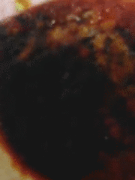 budin pan